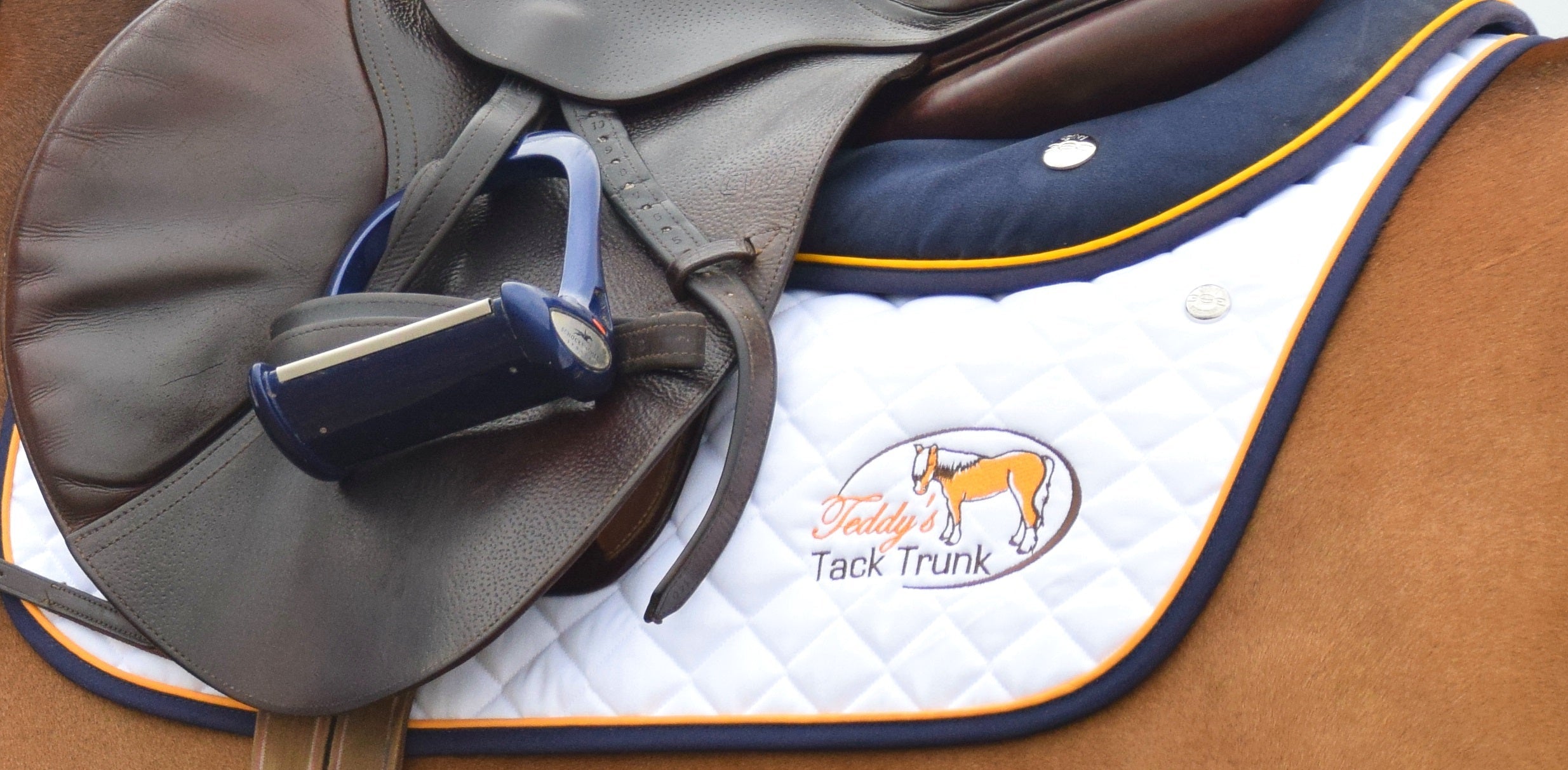 Lorenzini - Equiluxe Tack