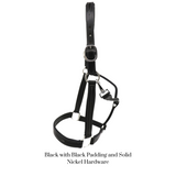 Remarkable Leather Goods GHC Padded Halter