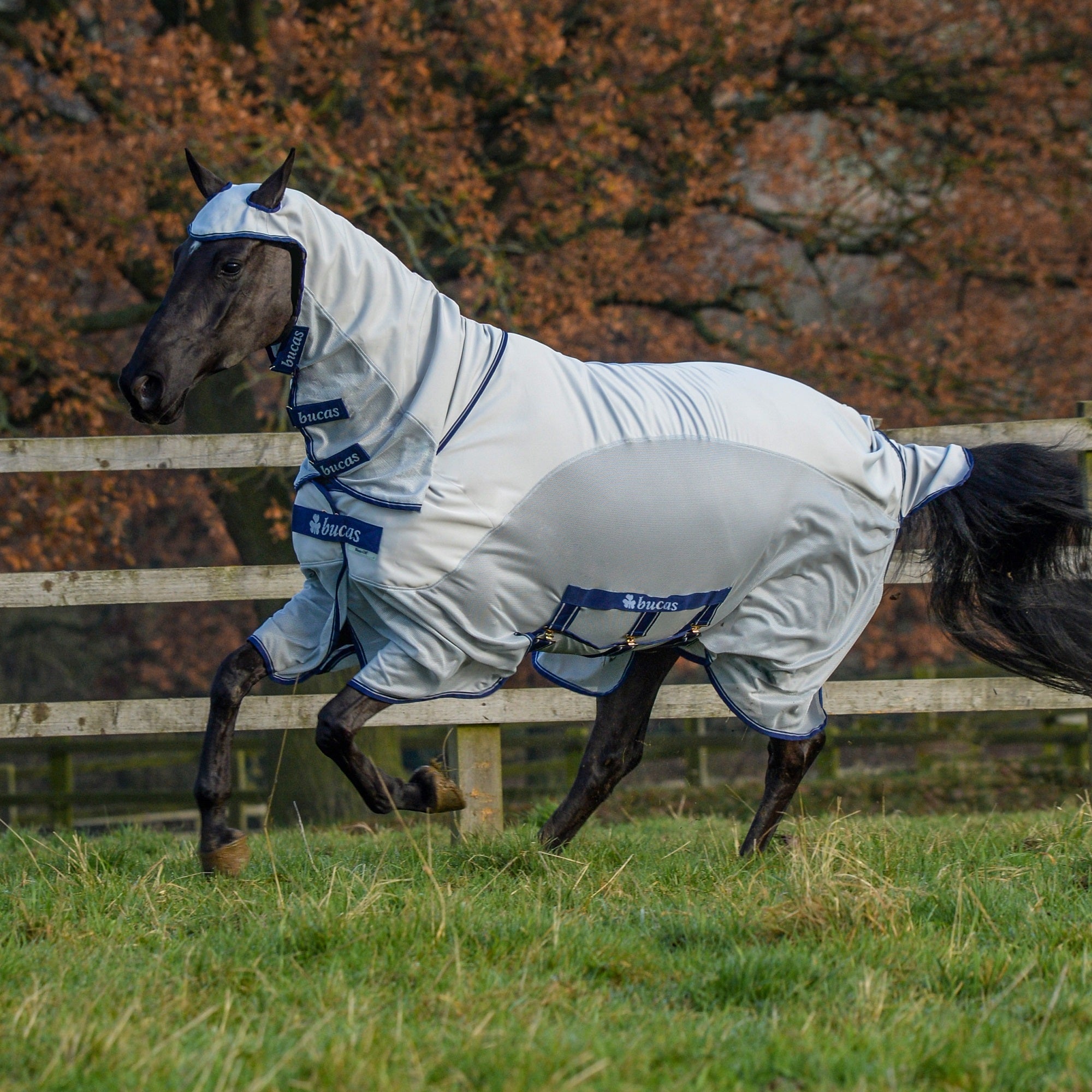 Bucas Sweet Itch X Light Sheet - Bucas - Equiluxe Tack