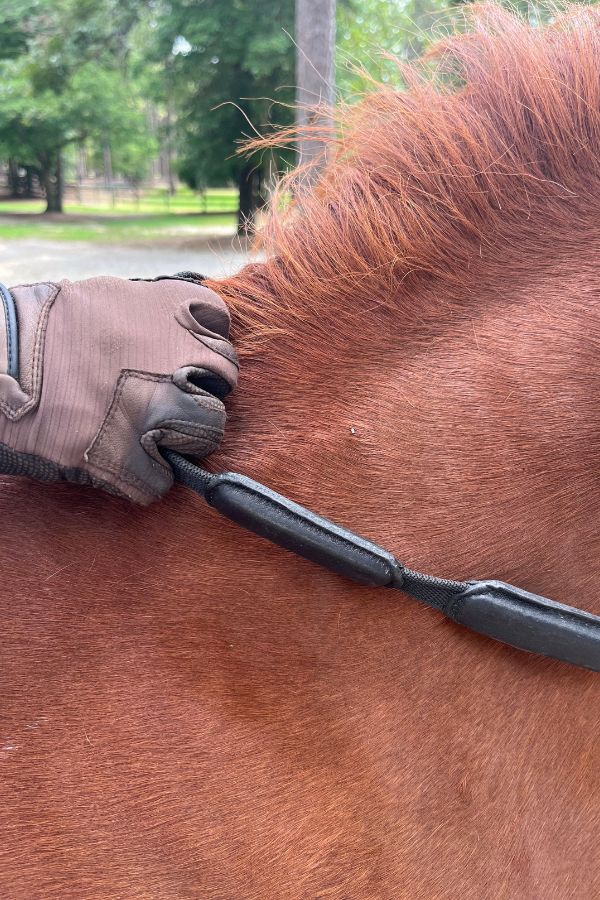 Comfort Connect Rein - Intermittent Padding for Equal Rein Length and Hand Support - CorrectConnect - Equiluxe Tack