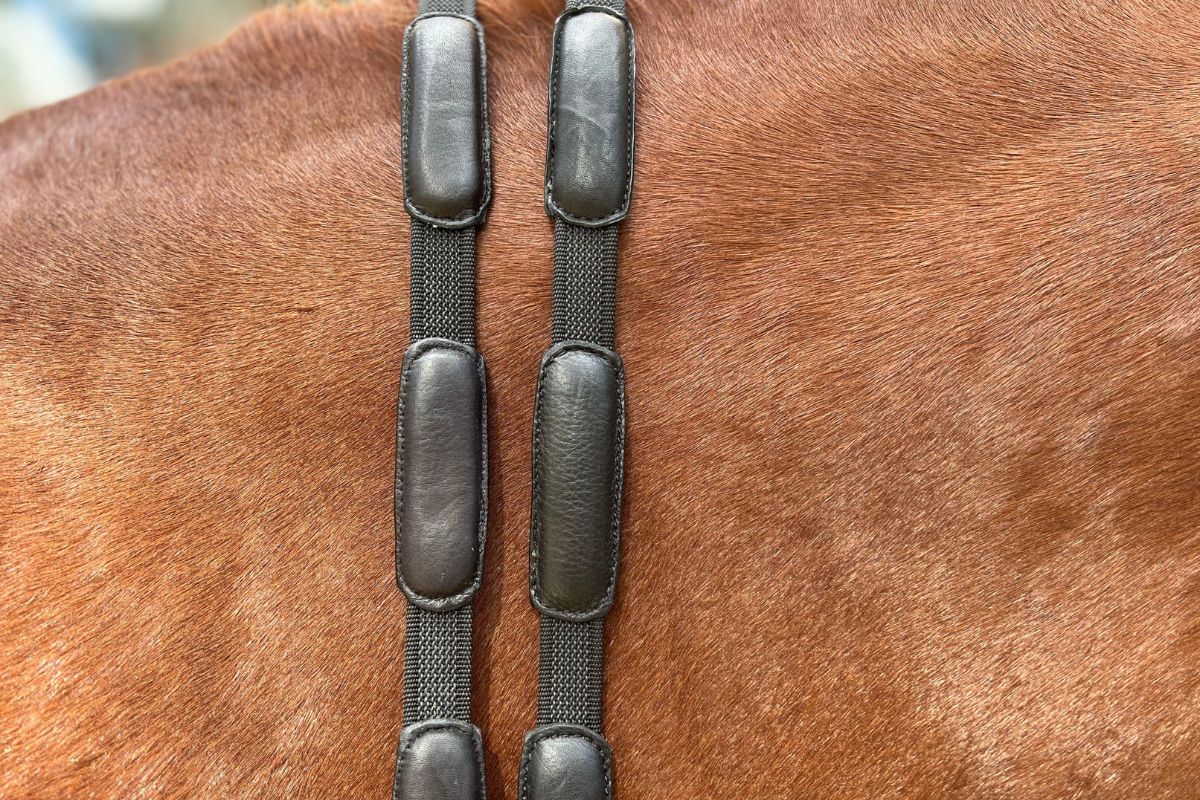 Comfort Connect Rein - Intermittent Padding for Equal Rein Length and Hand Support - CorrectConnect - Equiluxe Tack