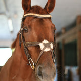 CorrectConnect Gold Accented Figure 8 Bridle with Gold Browband - CorrectConnect - Equiluxe Tack
