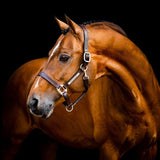 Horseware® Signature Leather Halter