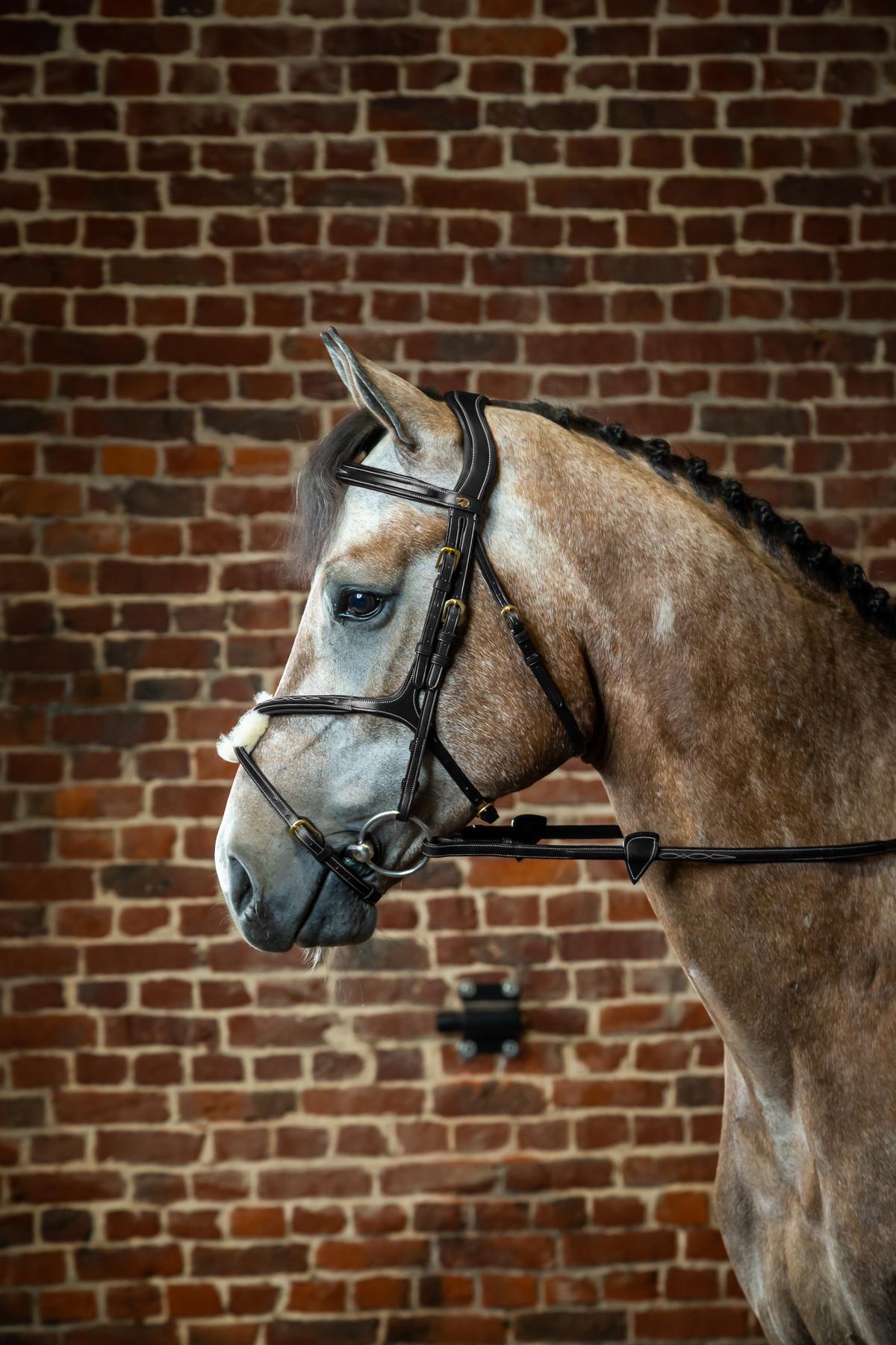 Dy'on Figure 8 Noseband Bridle - Dy'on - Equiluxe Tack