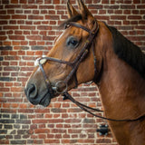 Dy'on Figure 8 Noseband Bridle - Dy'on - Equiluxe Tack