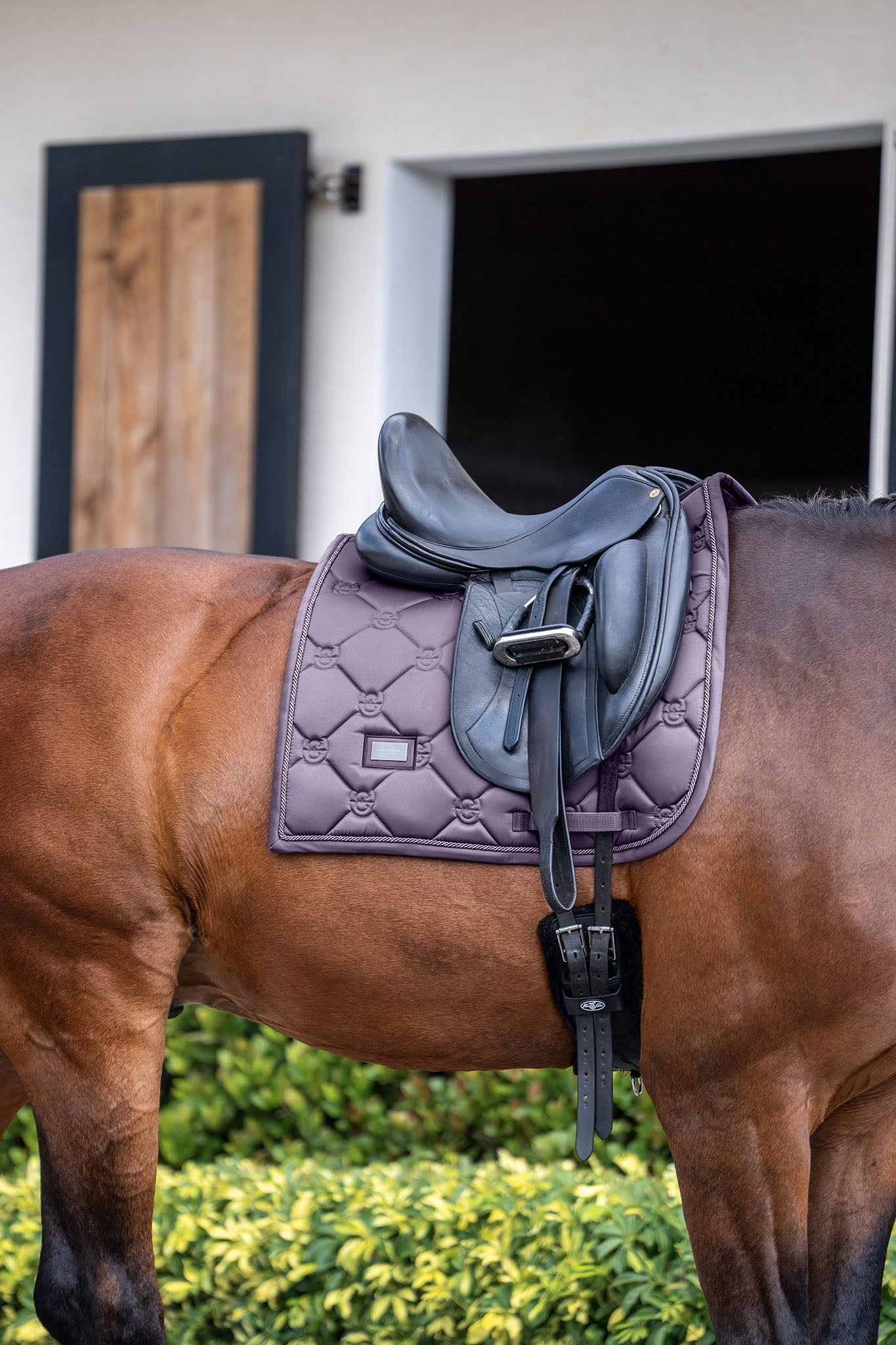 Equestrian Stockholm Dressage Saddle Pad Dark Violet - Equestrian Stockholm - Equiluxe Tack