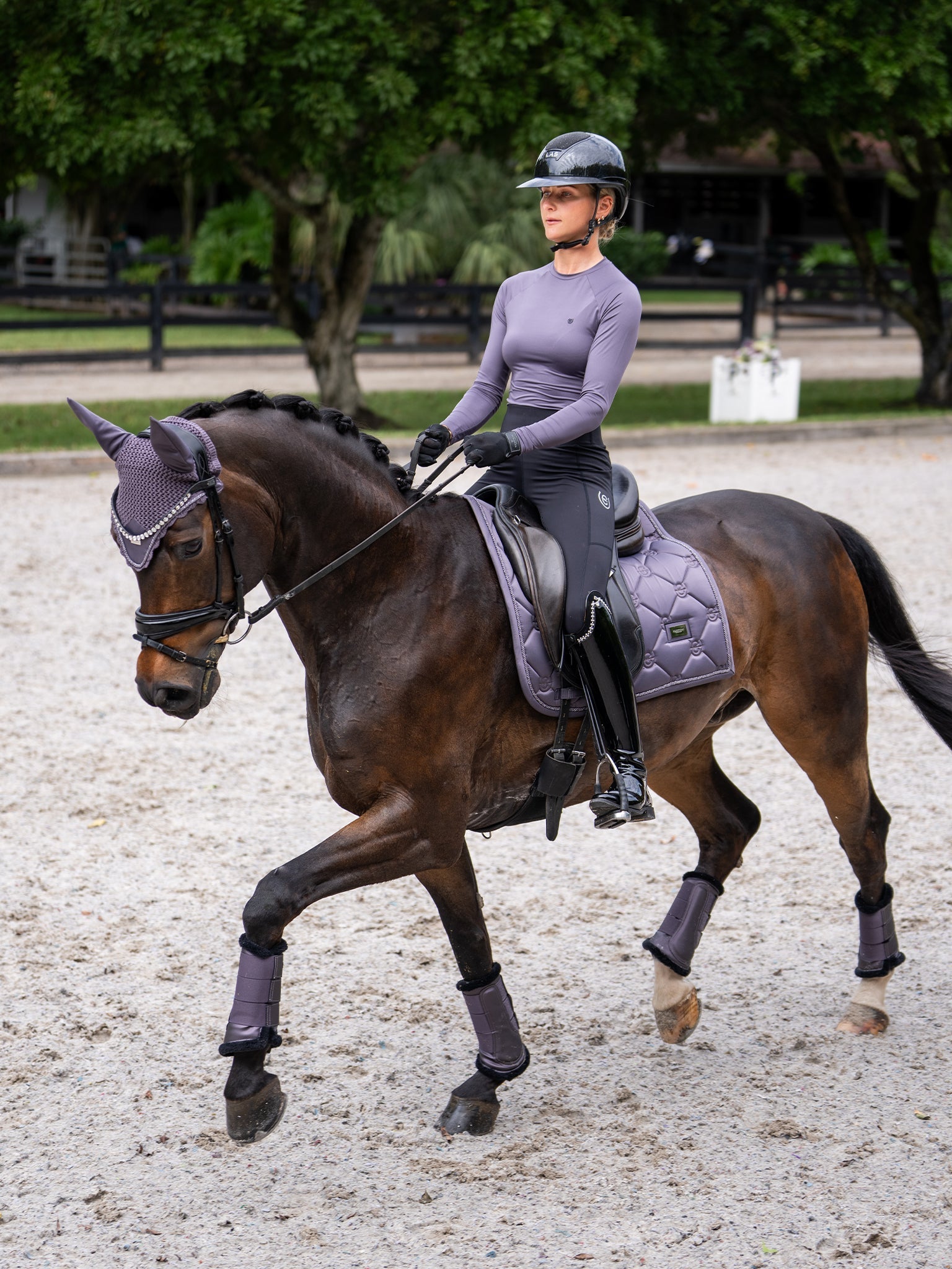 Equestrian Stockholm Dressage Saddle Pad Dark Violet - Equestrian Stockholm - Equiluxe Tack