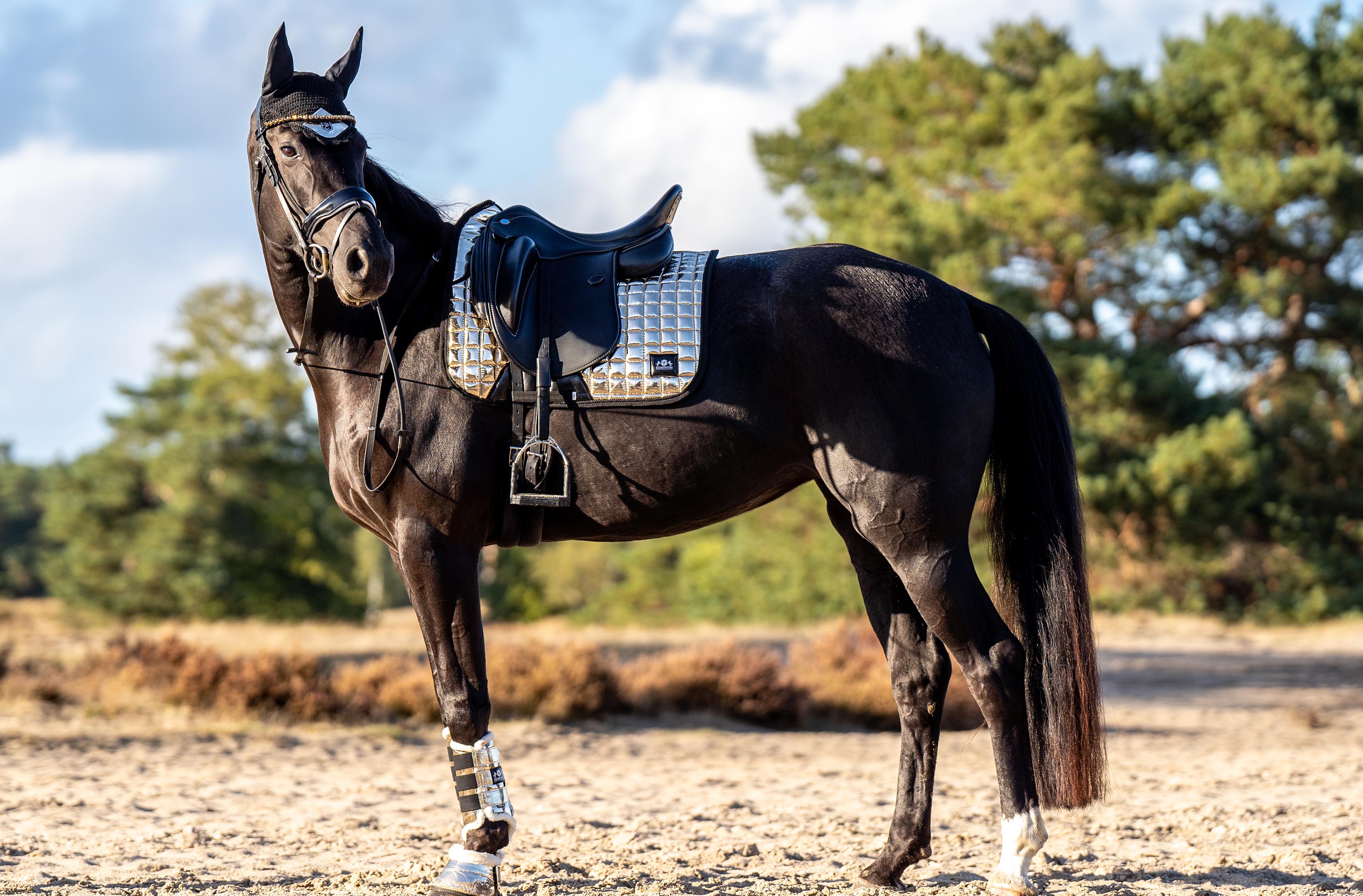 Equestroom Aurum Bell Boots - Equestroom - Equiluxe Tack