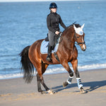 Equestroom Azurine Browband - Equestroom - Equiluxe Tack