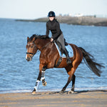 Equestroom Azurine Browband - Equestroom - Equiluxe Tack