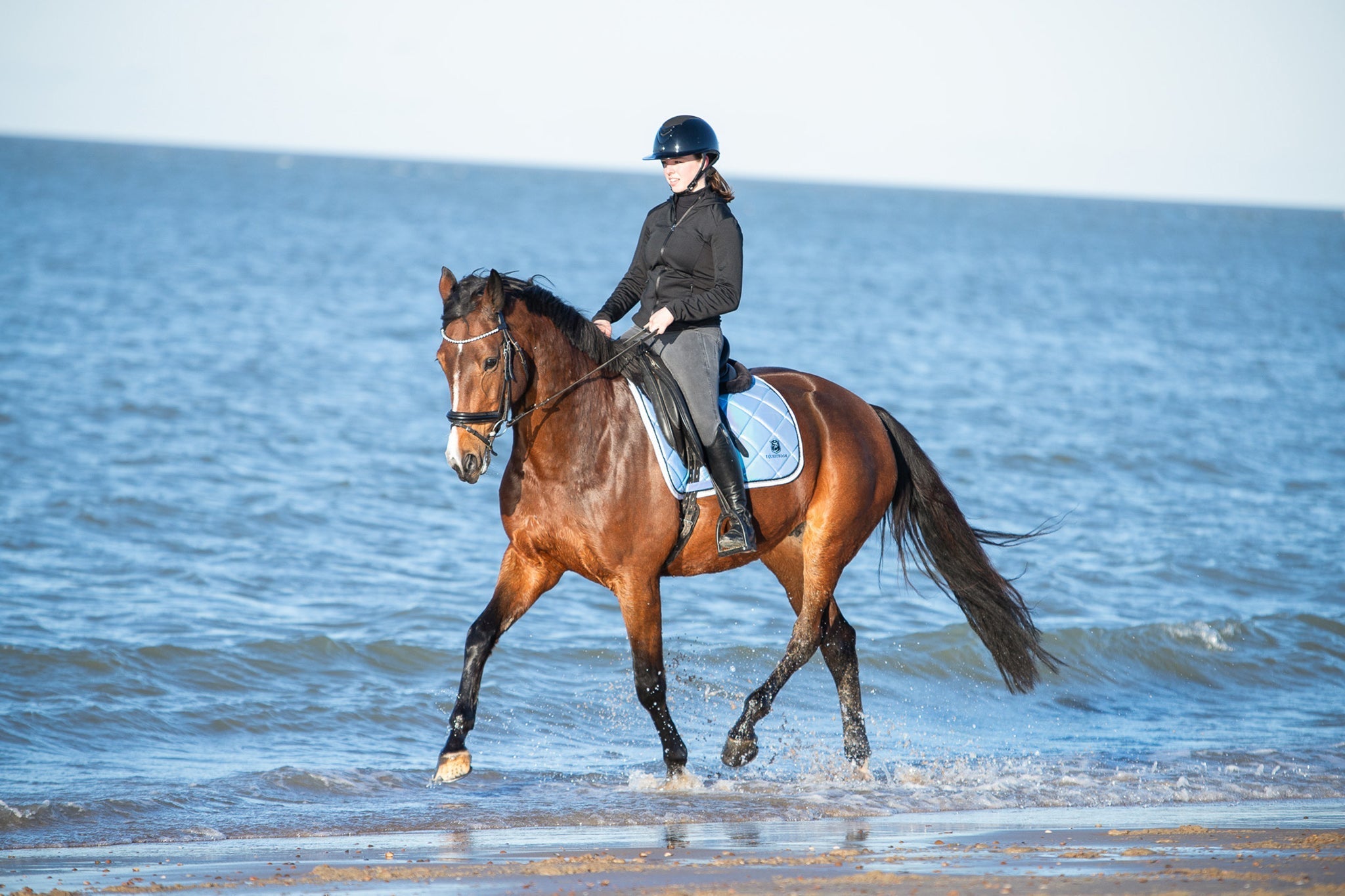 Equestroom Azurine Browband - Equestroom - Equiluxe Tack