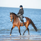 Equestroom Azurine Browband - Equestroom - Equiluxe Tack