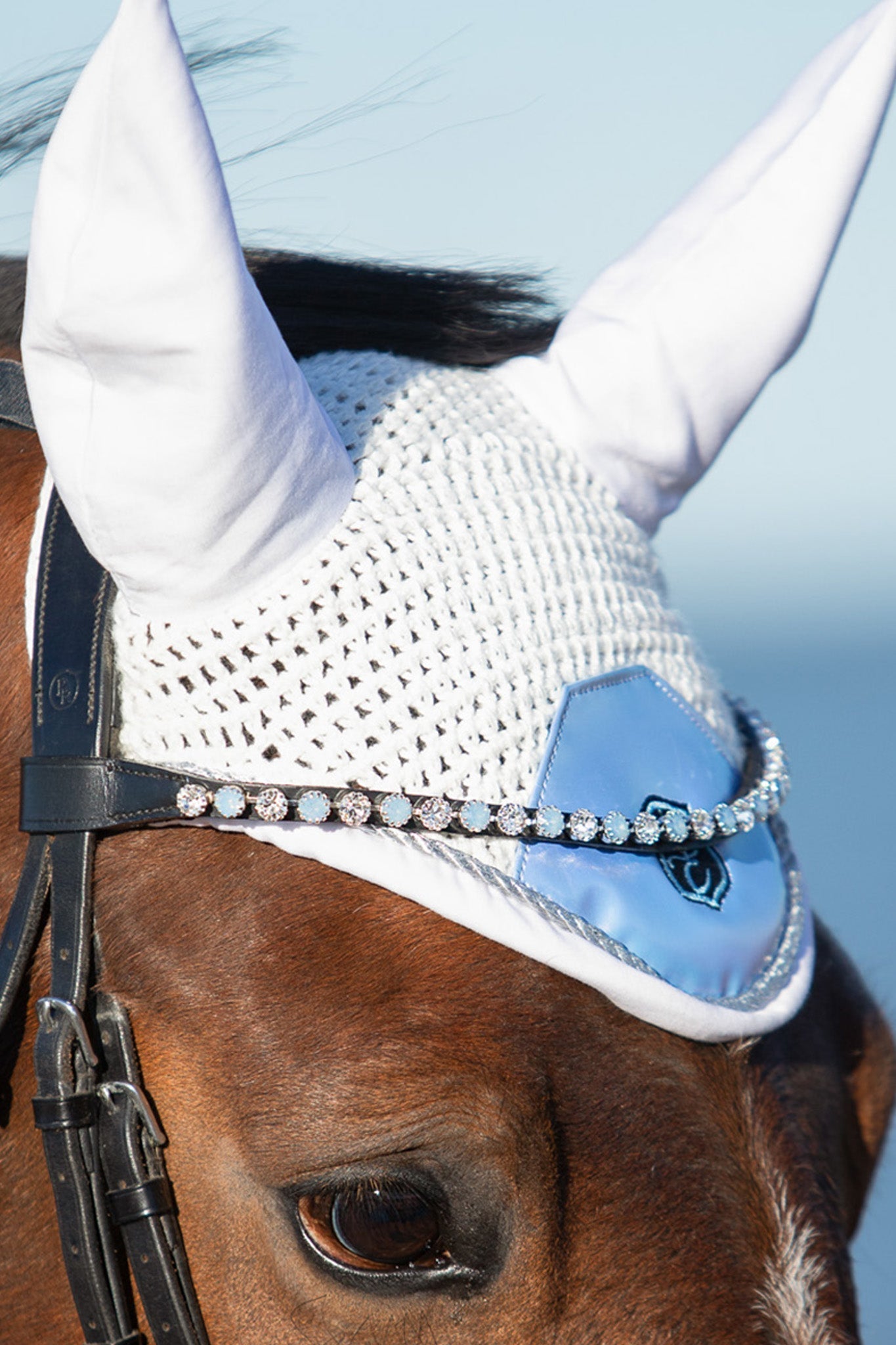 Equestroom Azurine Browband - Equestroom - Equiluxe Tack