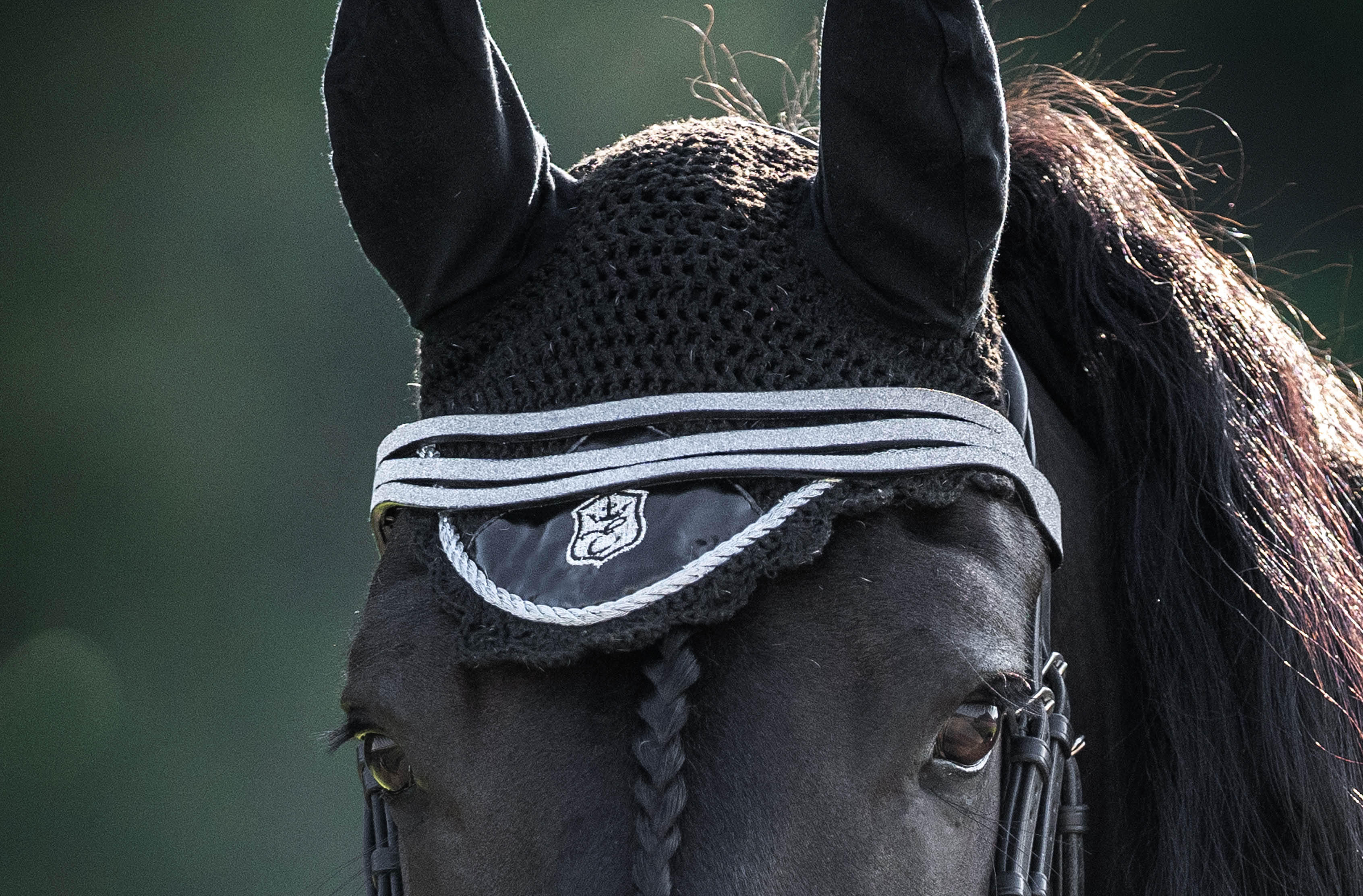 Equestroom Black Ink Fly Hat (Limited Edition) - Equestroom - Equiluxe Tack
