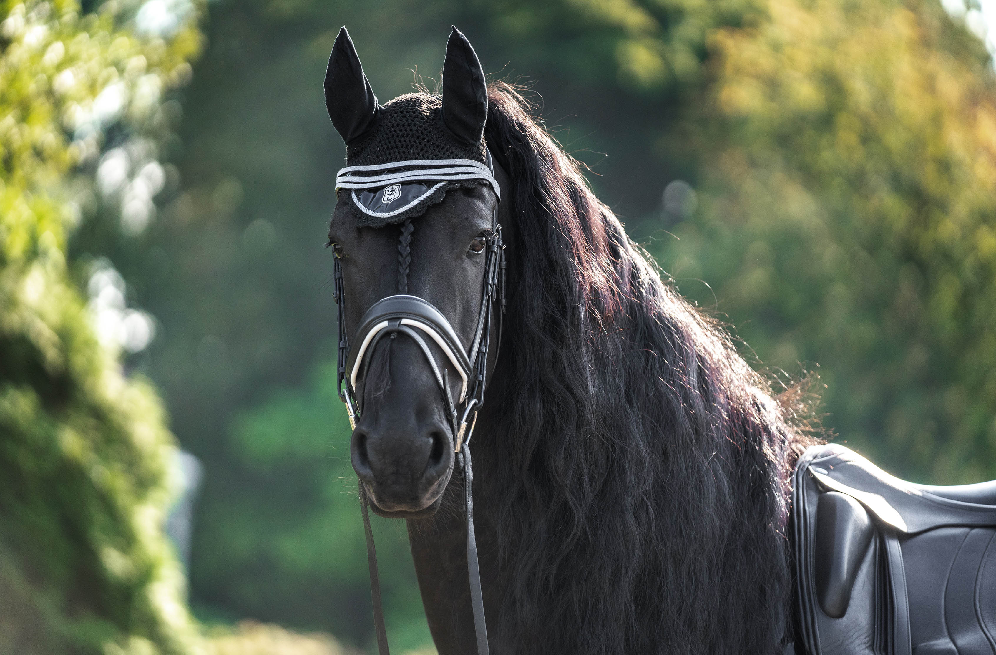 Equestroom Black Ink Fly Hat (Limited Edition) - Equestroom - Equiluxe Tack