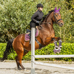 Equestroom Dark Orchid Saddle Pad - Equestroom - Equiluxe Tack