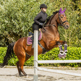 Equestroom Dark Orchid Saddle Pad - Equestroom - Equiluxe Tack