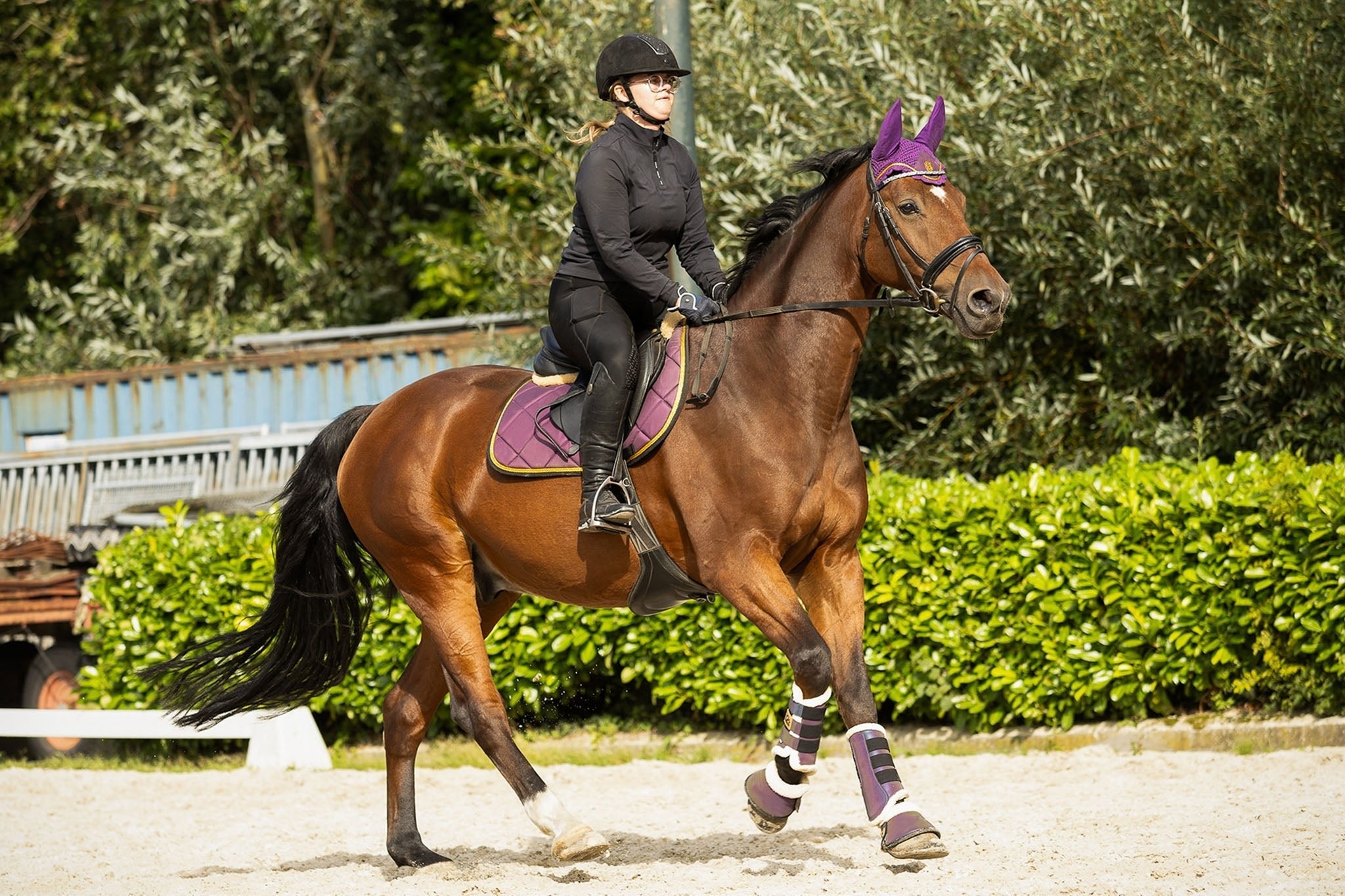 Equestroom Dark Orchid Saddle Pad - Equestroom - Equiluxe Tack