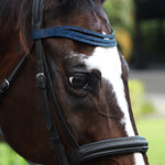 Equestroom Deep Sapphire Browband - Equestroom - Equiluxe Tack