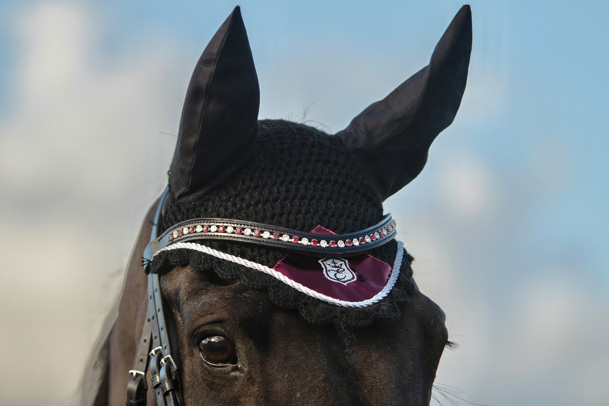 Equestroom Electric Red Browband - Equestroom - Equiluxe Tack