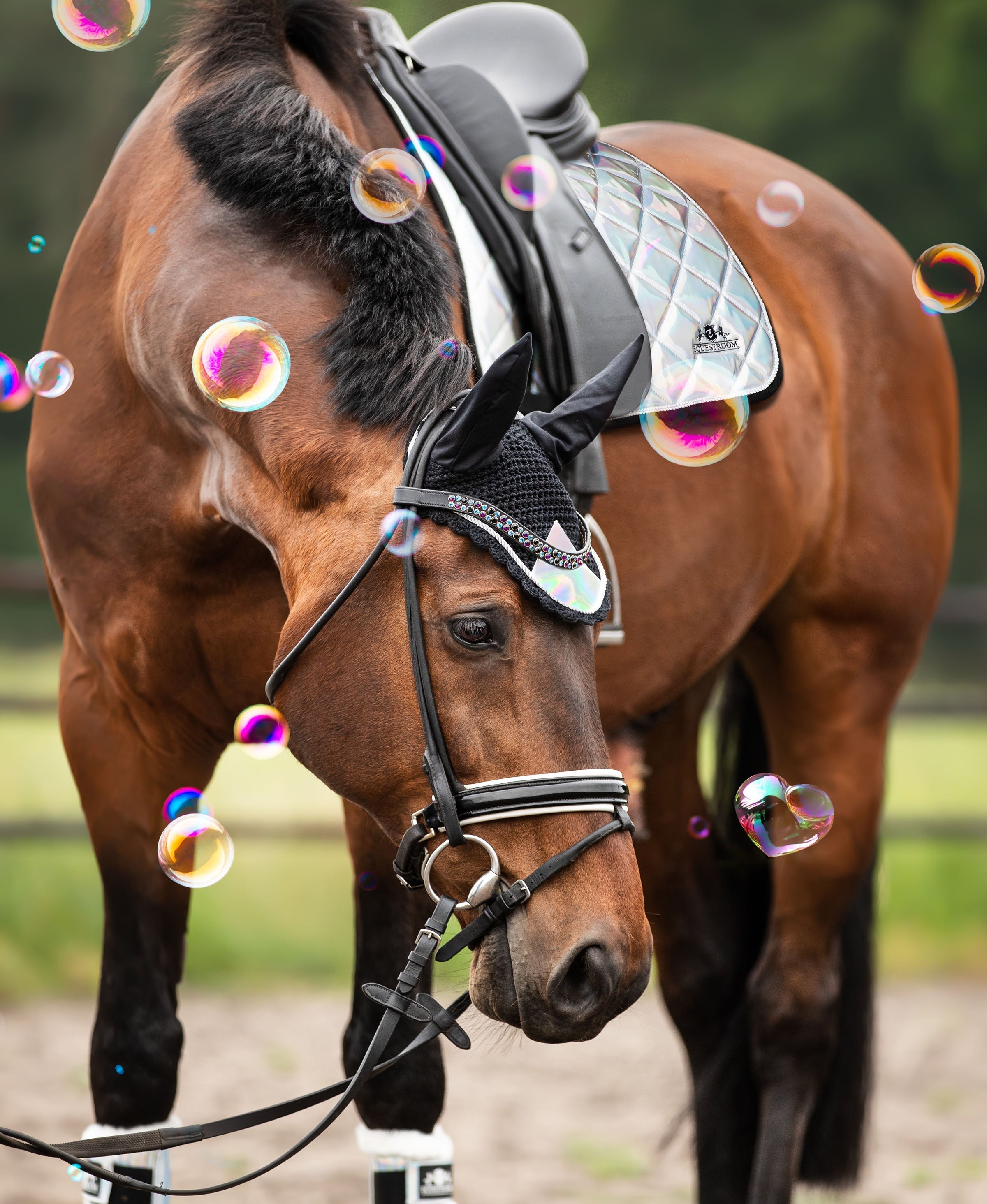 Equestroom Holographic Saddle Pad Set - Equestroom - Equiluxe Tack