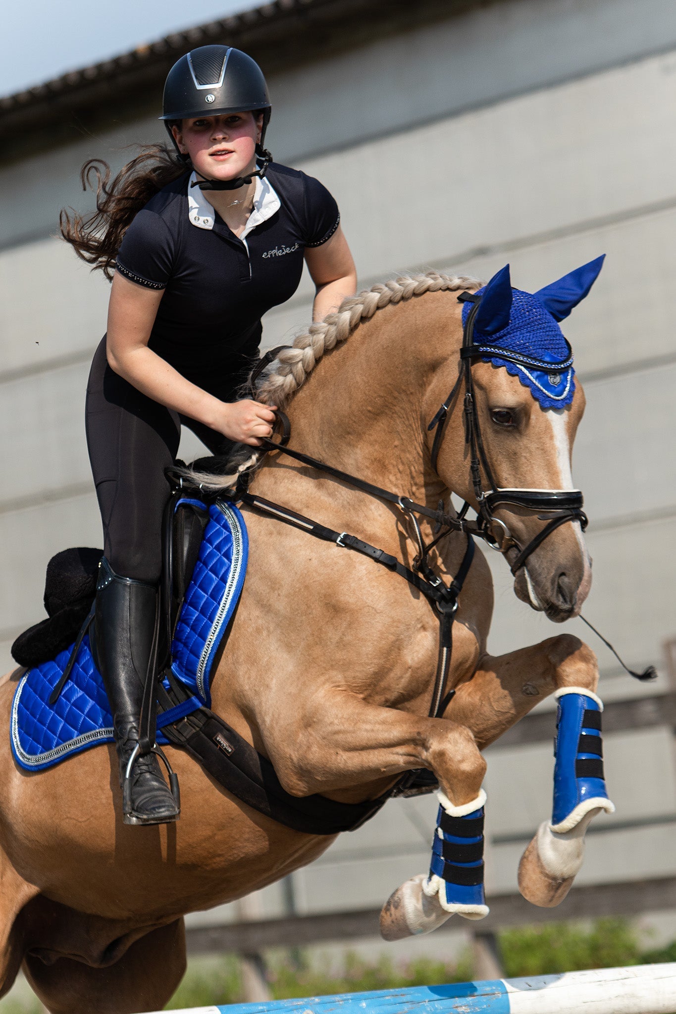 Equestroom Majorelle Blue Saddle Pad - Equestroom - Equiluxe Tack