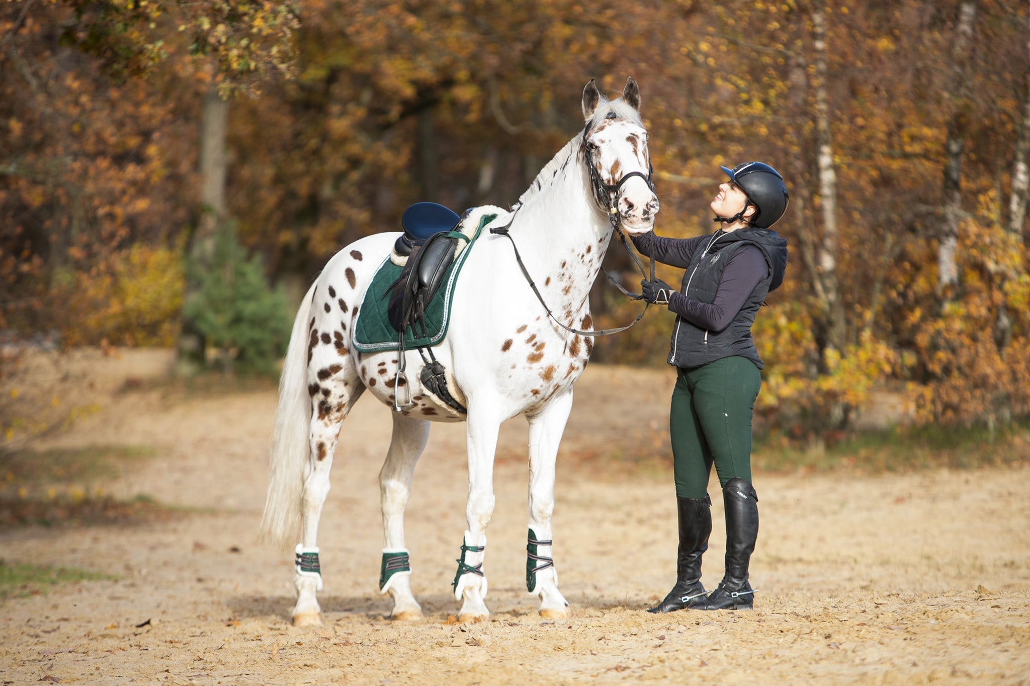 Equestroom Pine Grove Open - front Boots - Equestroom - Equiluxe Tack