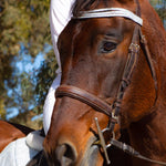 Equestroom Royal Silver Browband - Equestroom - Equiluxe Tack