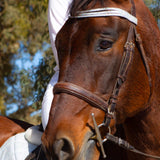 Equestroom Royal Silver Browband - Equestroom - Equiluxe Tack