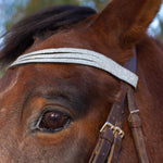 Equestroom Royal Silver Browband - Equestroom - Equiluxe Tack