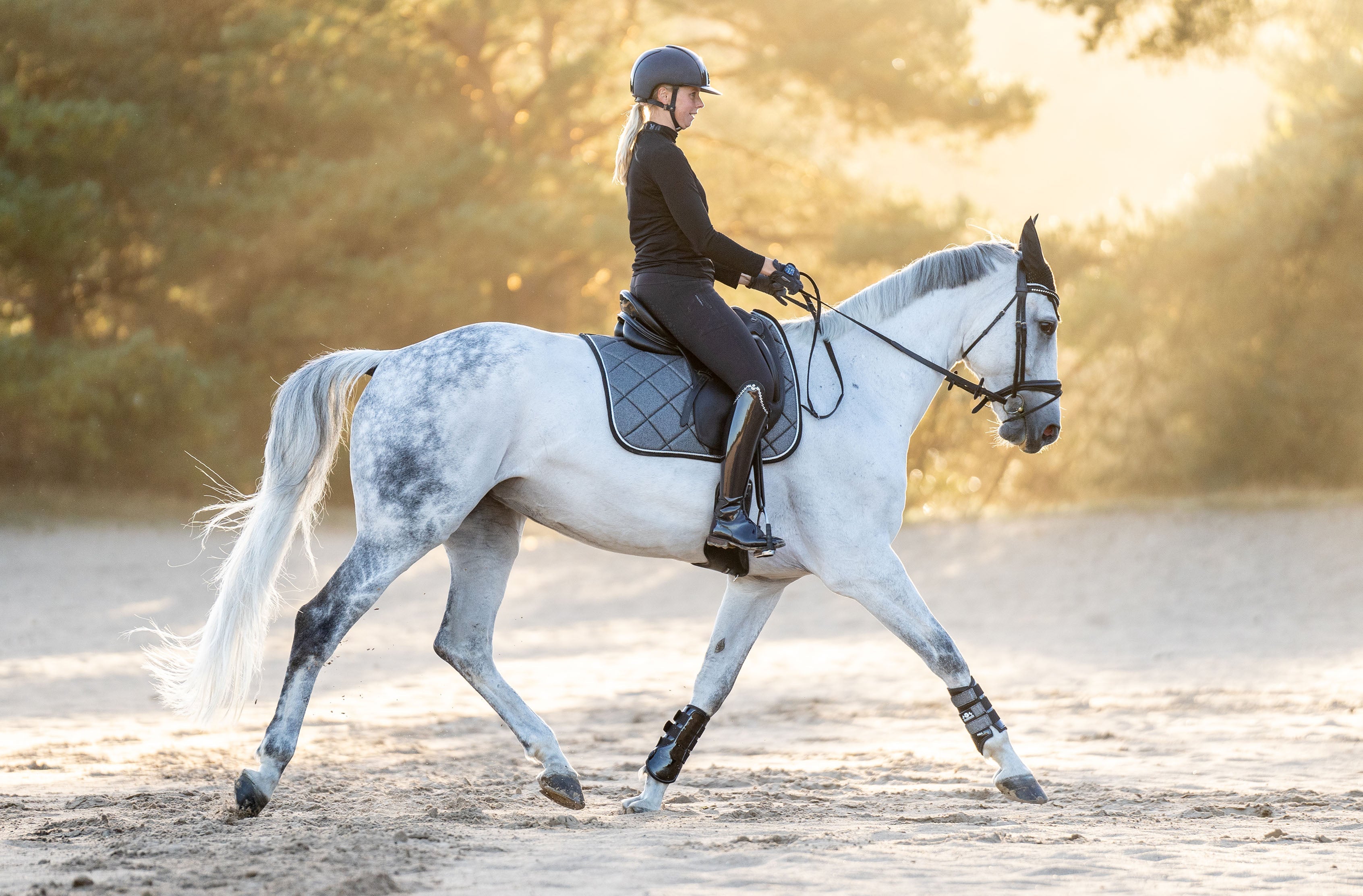 Equestroom Stardust Grey Saddle Pad - Equestroom - Equiluxe Tack