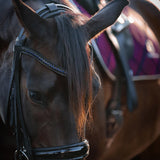 Equestroom Ultraviolet Browband - Equestroom - Equiluxe Tack