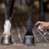 EquiFit AgSilver Daily Strength CleanSpray™ - EquiFit - Equiluxe Tack