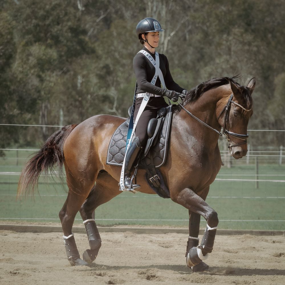 Equisk Engaged Rider Resistance Bands Training Tool - EQUISK - Equiluxe Tack