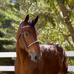 Galway Bridle - Wide Silver Clincher Jumper Bridle - Halter Ego® - Equiluxe Tack