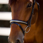 Galway Bridle - Wide Silver Clincher Jumper Bridle - Halter Ego® - Equiluxe Tack