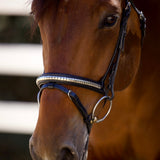 Galway Bridle - Wide Silver Clincher Jumper Bridle - Halter Ego® - Equiluxe Tack