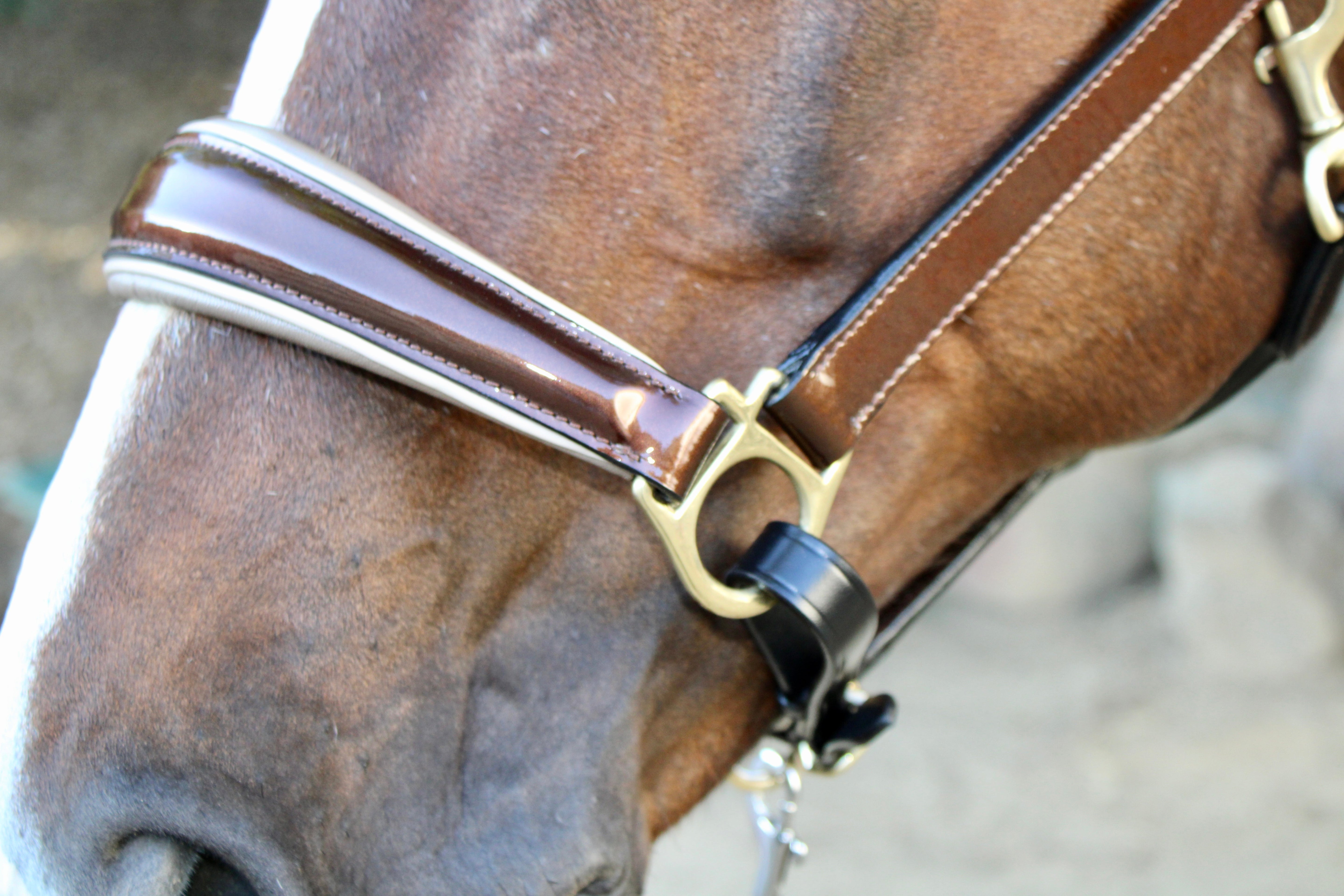 Halter Ego Catalonia Metallic Bronze Leather Halter - Halter Ego® - Equiluxe Tack