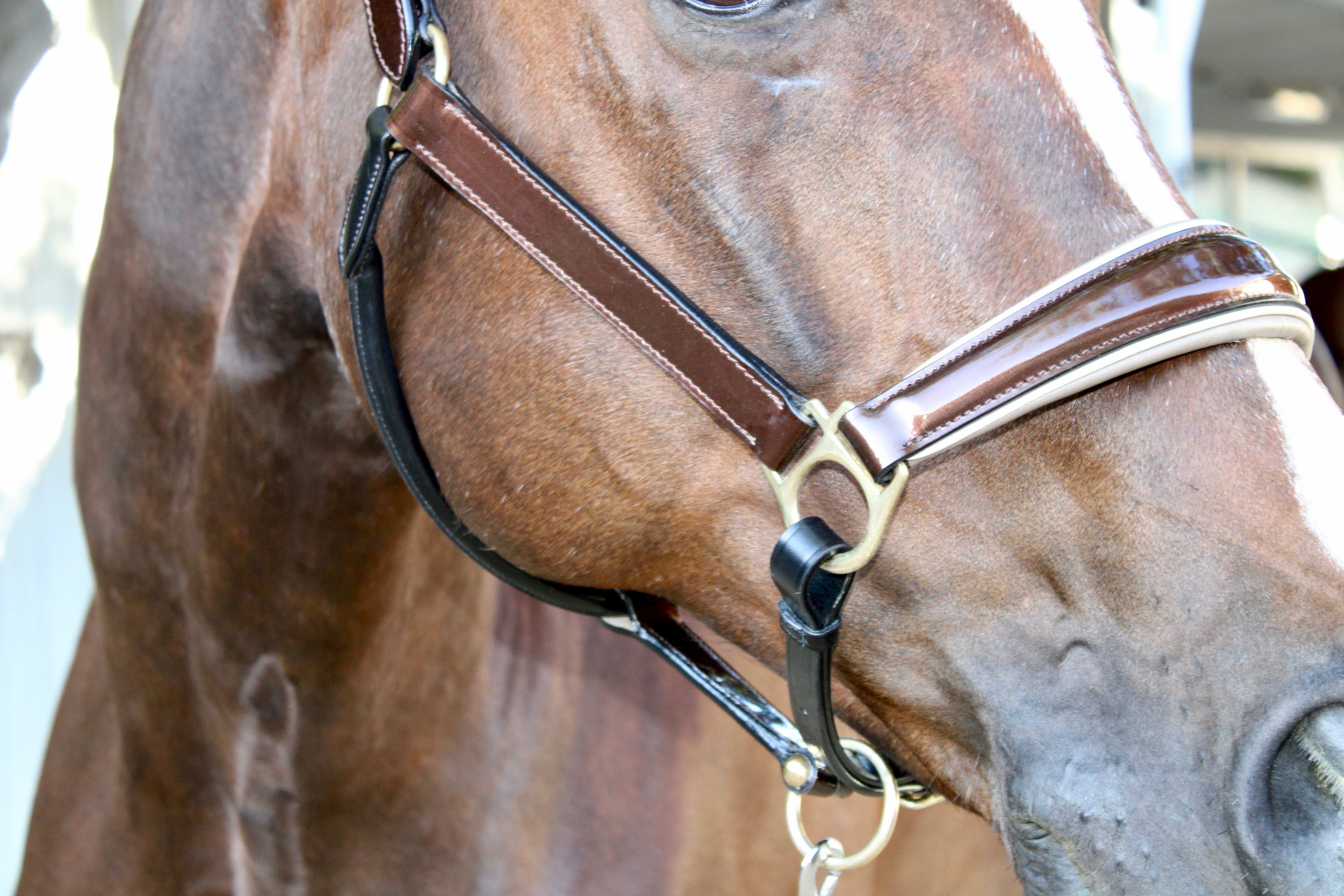 Halter Ego Catalonia Metallic Bronze Leather Halter - Halter Ego® - Equiluxe Tack