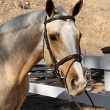 Halter Ego Halifax - Brown Leather Hunter Bridle - Halter Ego® - Equiluxe Tack