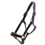 Halter Ego Hayworth Black Patent Leather Halter with Burgundy Piping - Halter Ego® - Equiluxe Tack