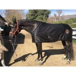 Halter Ego® Leather Halter With Top Stitching - Seville Orange - Halter Ego® - Equiluxe Tack