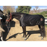 Halter Ego® Leather Halter With Top Stitching - Seville Orange - Halter Ego® - Equiluxe Tack