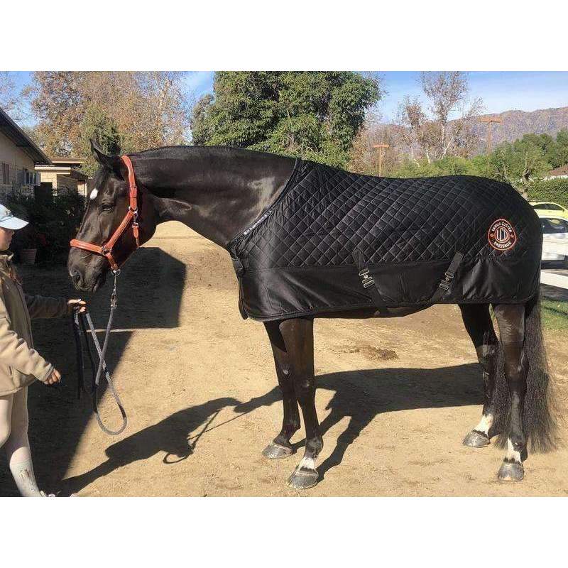 Halter Ego® Leather Halter With Top Stitching - Seville Orange - Halter Ego® - Equiluxe Tack