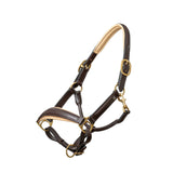 Halter Ego Sierra Brown Leather Halter - Halter Ego® - Equiluxe Tack