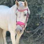 Halter Ego The Barbie Pink Leather Snaffle Bridle - Halter Ego® - Equiluxe Tack
