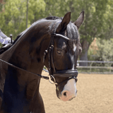 Halter Ego The Brixton Snaffle Bridle - Black Leather Anatomical Snaffle Bridle - Halter Ego® - Equiluxe Tack