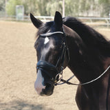 Halter Ego The Brixton Snaffle Bridle - Black Leather Anatomical Snaffle Bridle - Halter Ego® - Equiluxe Tack