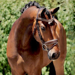 Halter Ego The Catalonia Metallic Bronze Leather Snaffle Bridle with Removable Flash - Halter Ego® - Equiluxe Tack