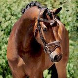 Halter Ego The Catalonia Metallic Bronze Leather Snaffle Bridle with Removable Flash - Halter Ego® - Equiluxe Tack